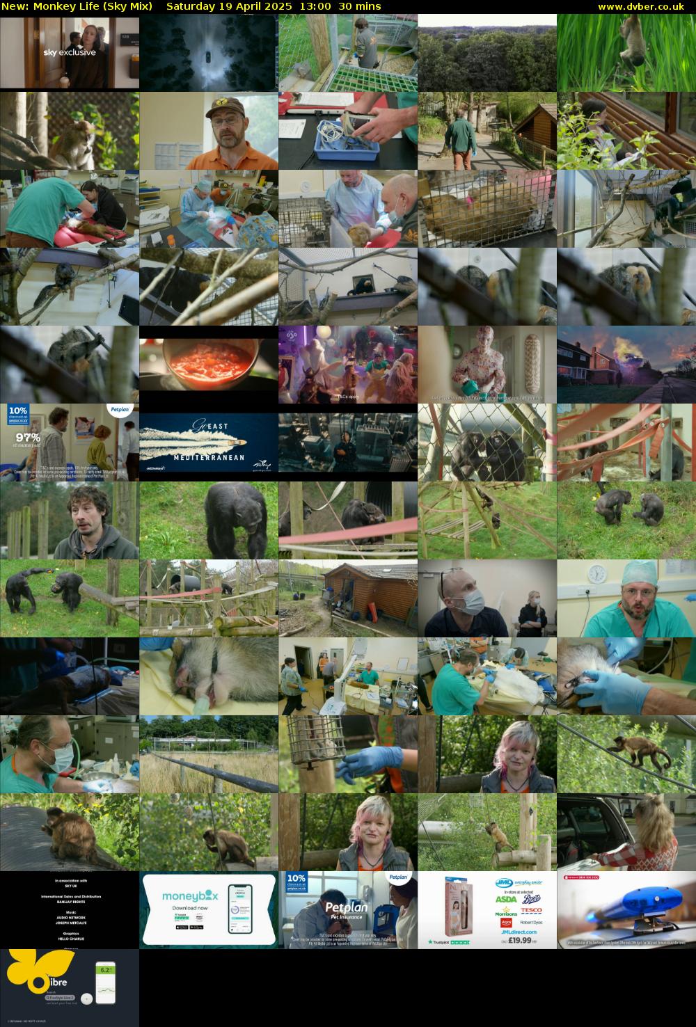 Monkey Life (Sky Mix) Saturday 19 April 2025 13:00 - 13:30