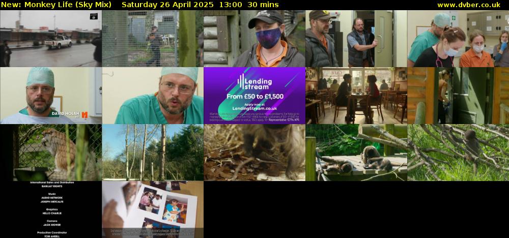 Monkey Life (Sky Mix) Saturday 26 April 2025 13:00 - 13:30