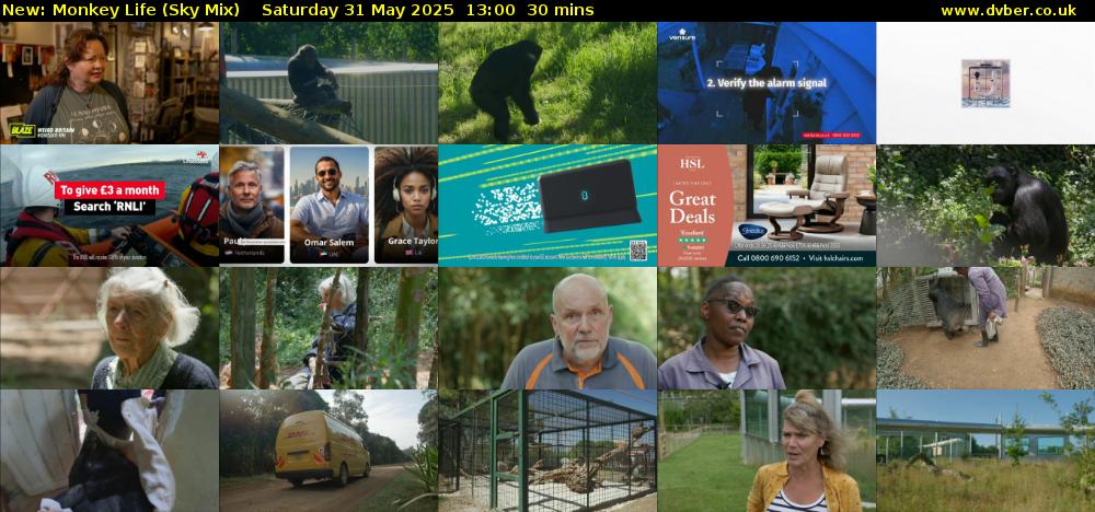 Monkey Life (Sky Mix) Saturday 31 May 2025 13:00 - 13:30