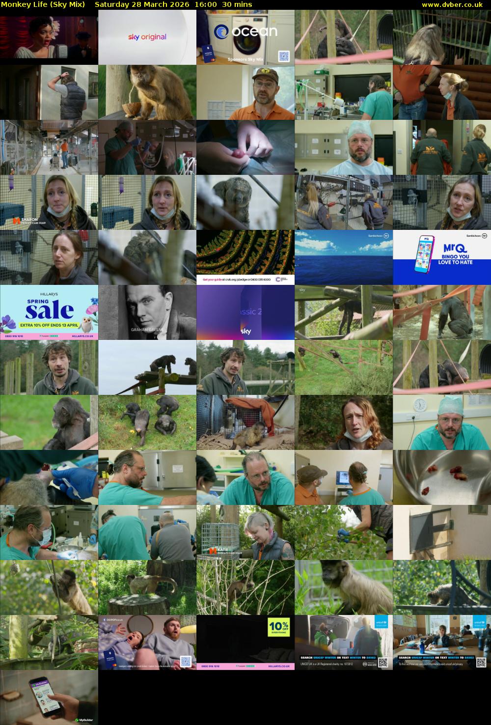 Monkey Life (Sky Mix) Saturday 28 March 2026 16:00 - 16:30