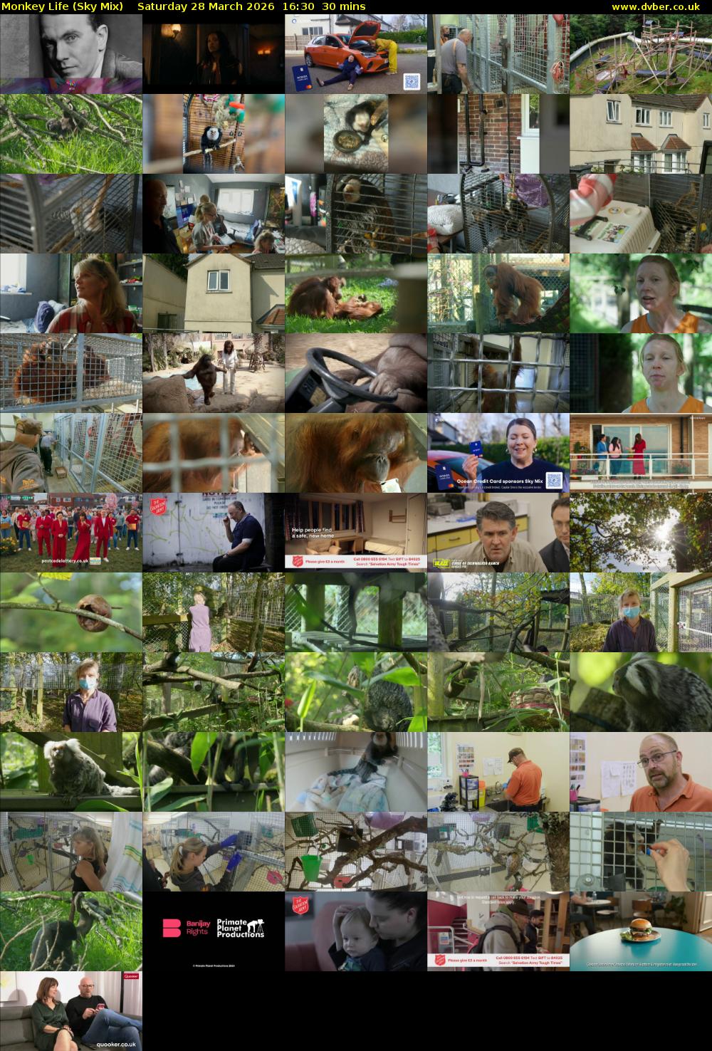 Monkey Life (Sky Mix) Saturday 28 March 2026 16:30 - 17:00