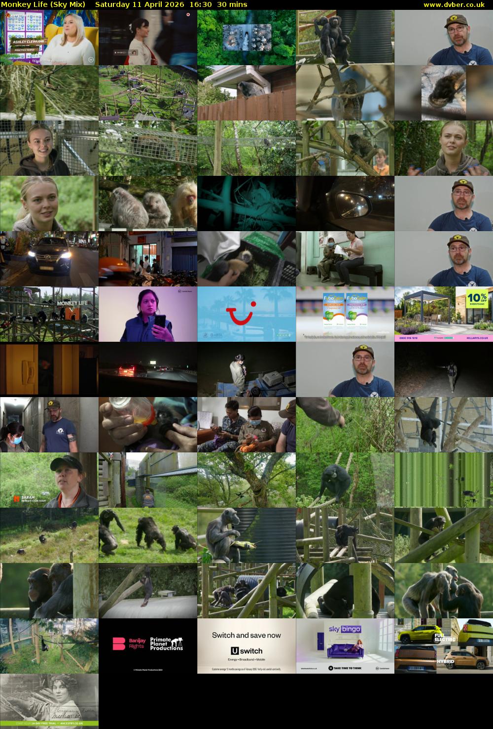 Monkey Life (Sky Mix) Saturday 11 April 2026 16:30 - 17:00