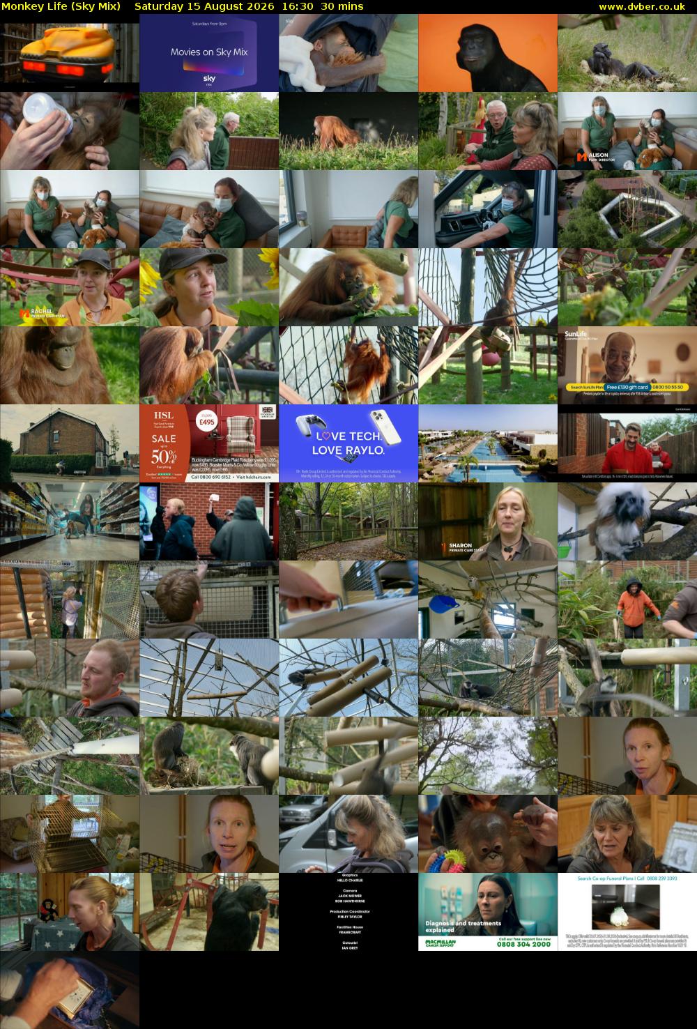 Monkey Life (Sky Mix) Saturday 15 August 2026 16:30 - 17:00