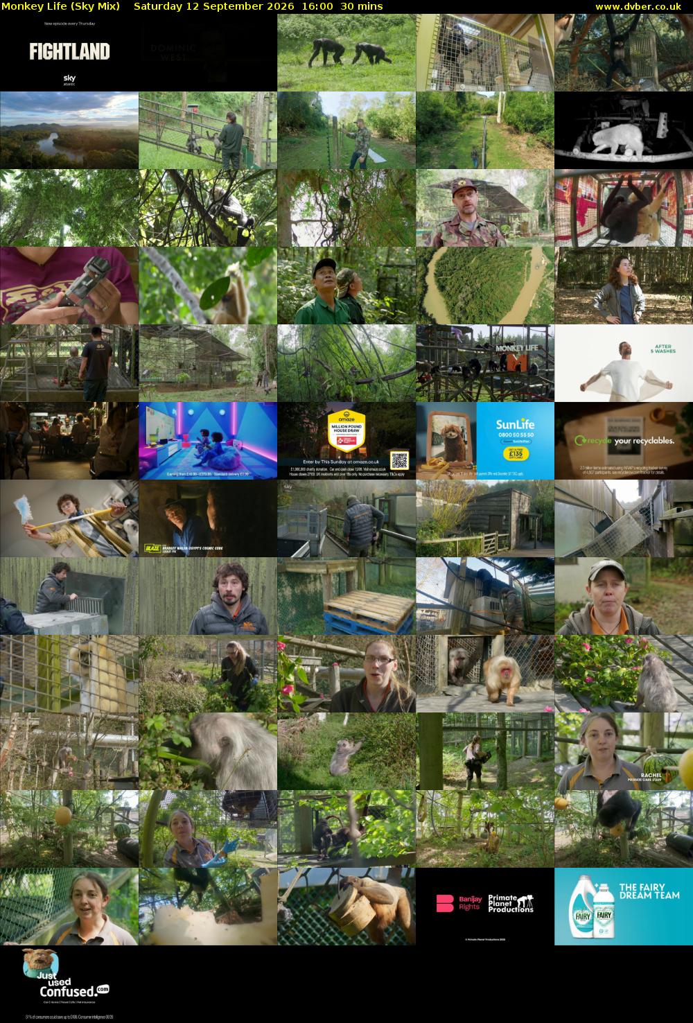 Monkey Life (Sky Mix) Saturday 12 September 2026 16:00 - 16:30