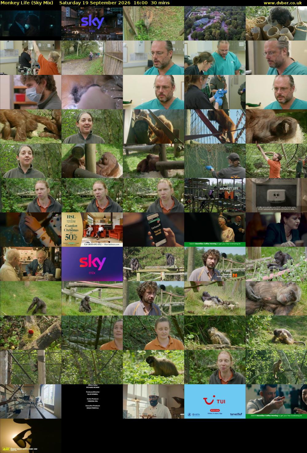 Monkey Life (Sky Mix) Saturday 19 September 2026 16:00 - 16:30