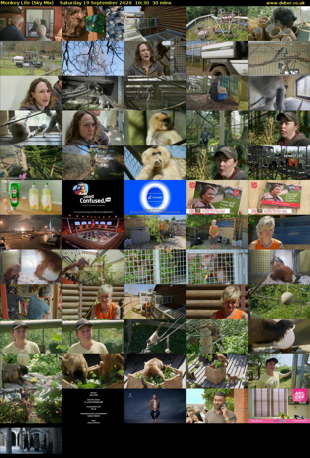 Monkey Life (Sky Mix) Saturday 19 September 2026 16:30 - 17:00