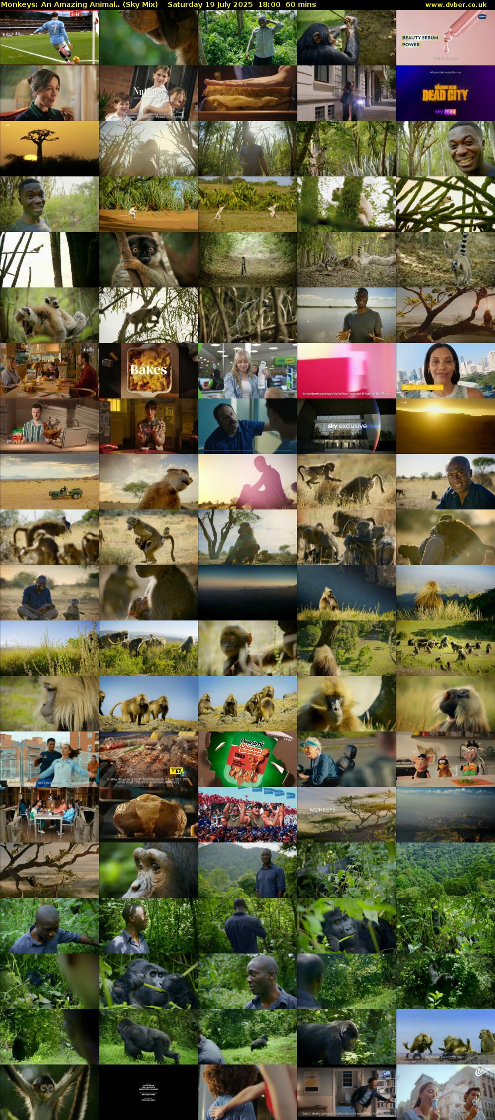 Monkeys: An Amazing Animal.. (Sky Mix) Saturday 19 July 2025 18:00 - 19:00