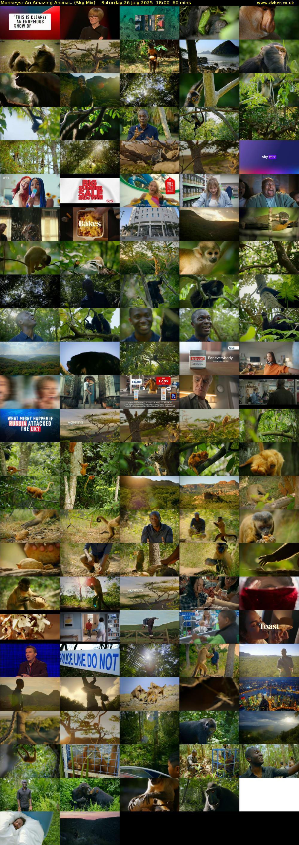 Monkeys: An Amazing Animal.. (Sky Mix) Saturday 26 July 2025 18:00 - 19:00