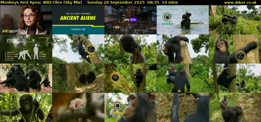 Monkeys And Apes: Wild Files (Sky Mix) Sunday 28 September 2025 08:35 - 08:45