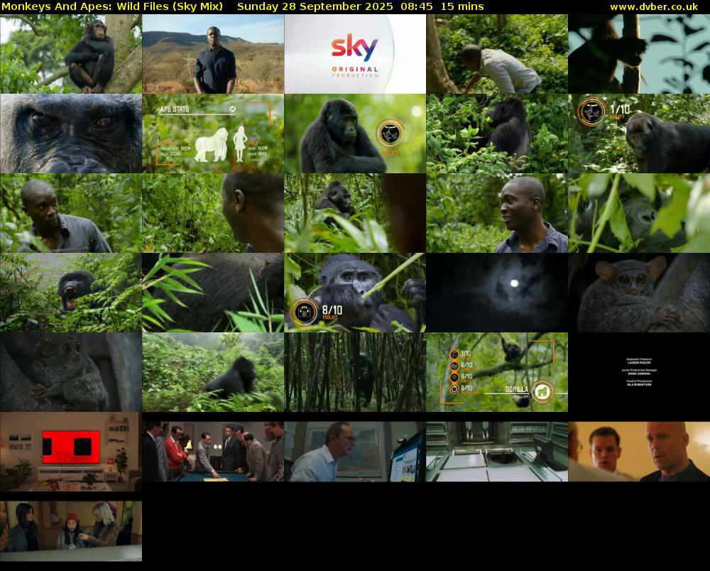Monkeys And Apes: Wild Files (Sky Mix) Sunday 28 September 2025 08:45 - 09:00