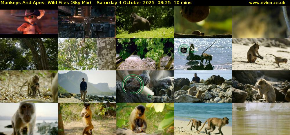 Monkeys And Apes: Wild Files (Sky Mix) Saturday 4 October 2025 08:25 - 08:35