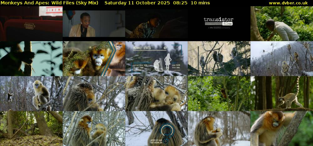 Monkeys And Apes: Wild Files (Sky Mix) Saturday 11 October 2025 08:25 - 08:35