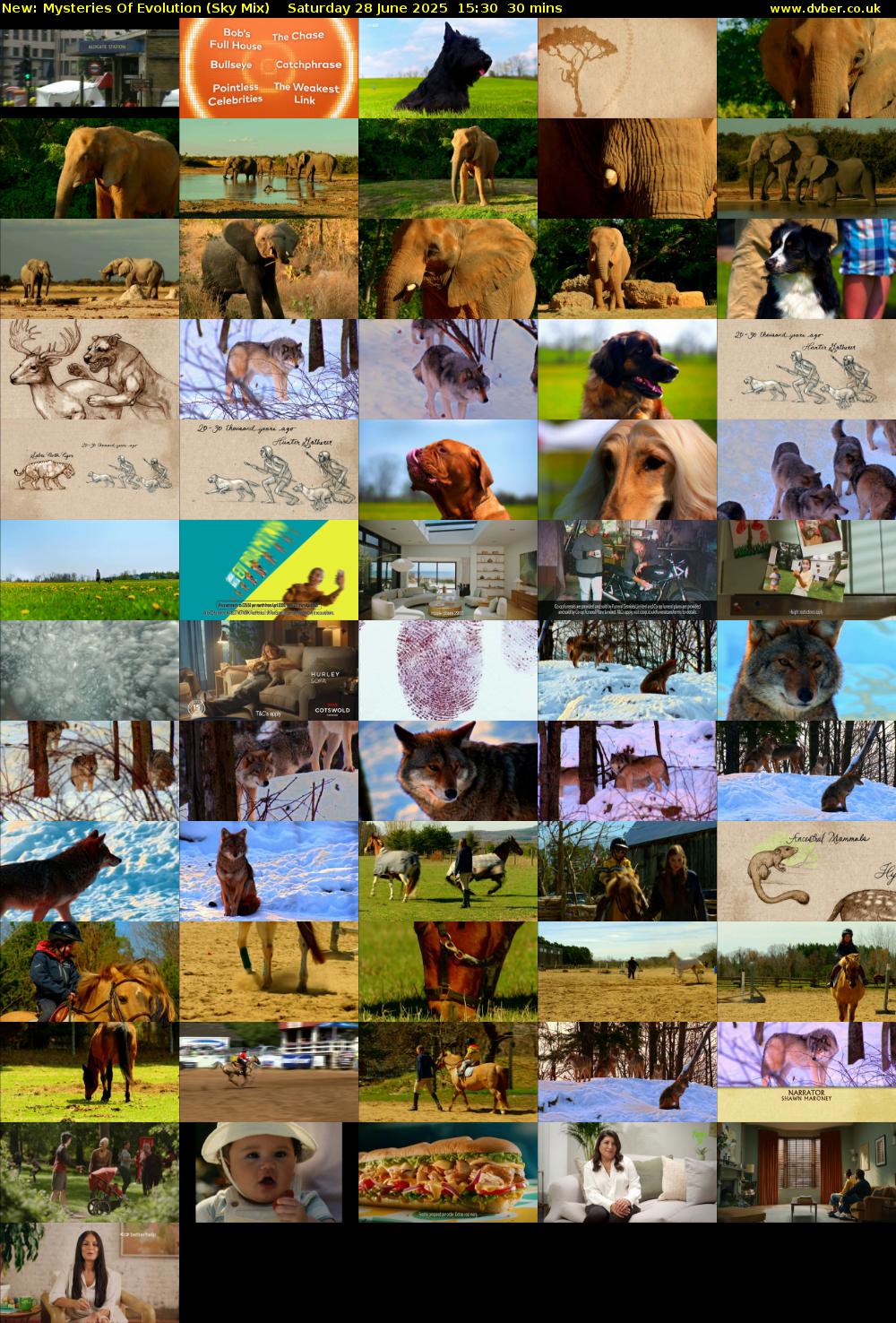 Mysteries Of Evolution (Sky Mix) Saturday 28 June 2025 15:30 - 16:00