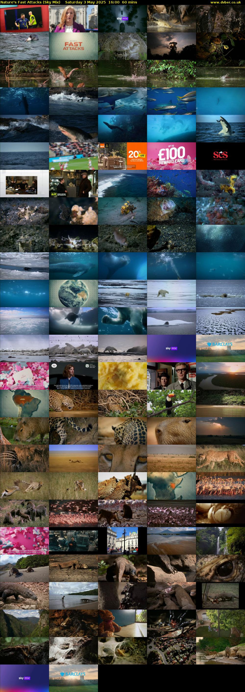 Nature's Fast Attacks (Sky Mix) Saturday 3 May 2025 16:00 - 17:00