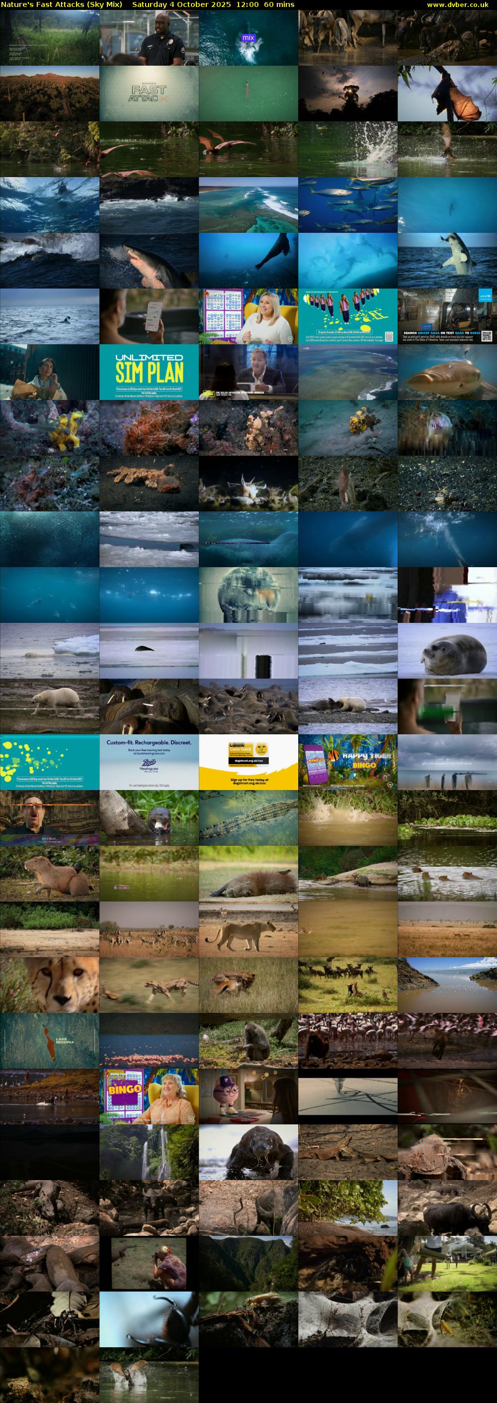 Nature's Fast Attacks (Sky Mix) Saturday 4 October 2025 12:00 - 13:00