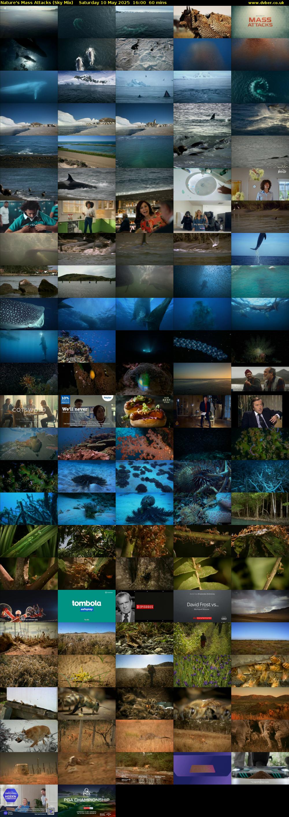 Nature's Mass Attacks (Sky Mix) Saturday 10 May 2025 16:00 - 17:00
