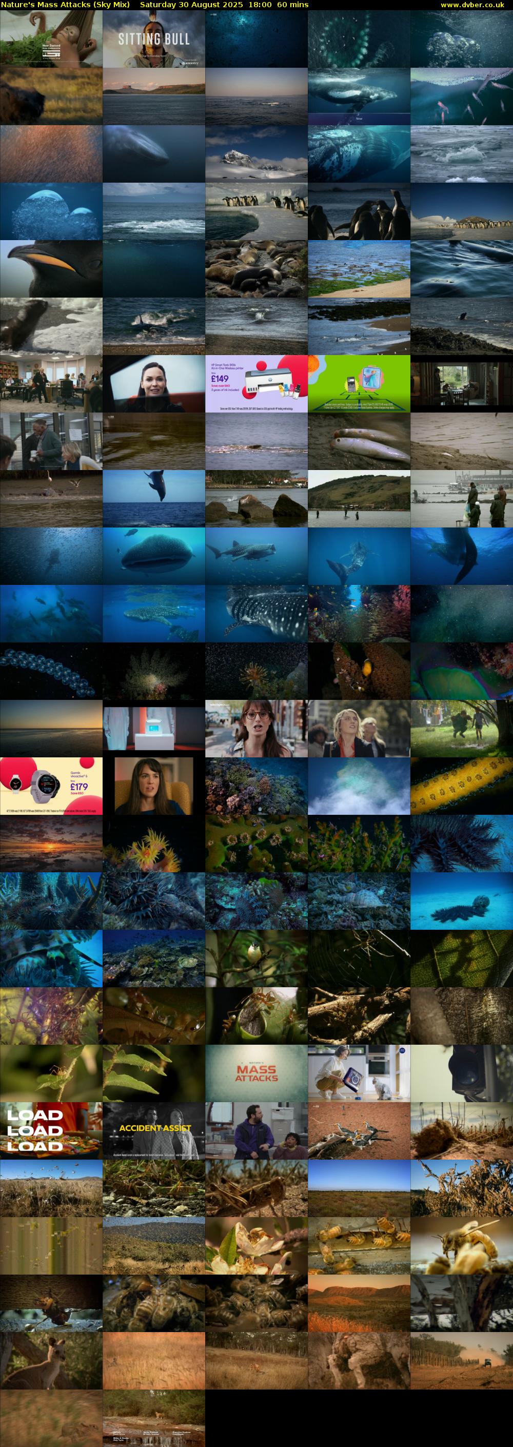 Nature's Mass Attacks (Sky Mix) Saturday 30 August 2025 18:00 - 19:00