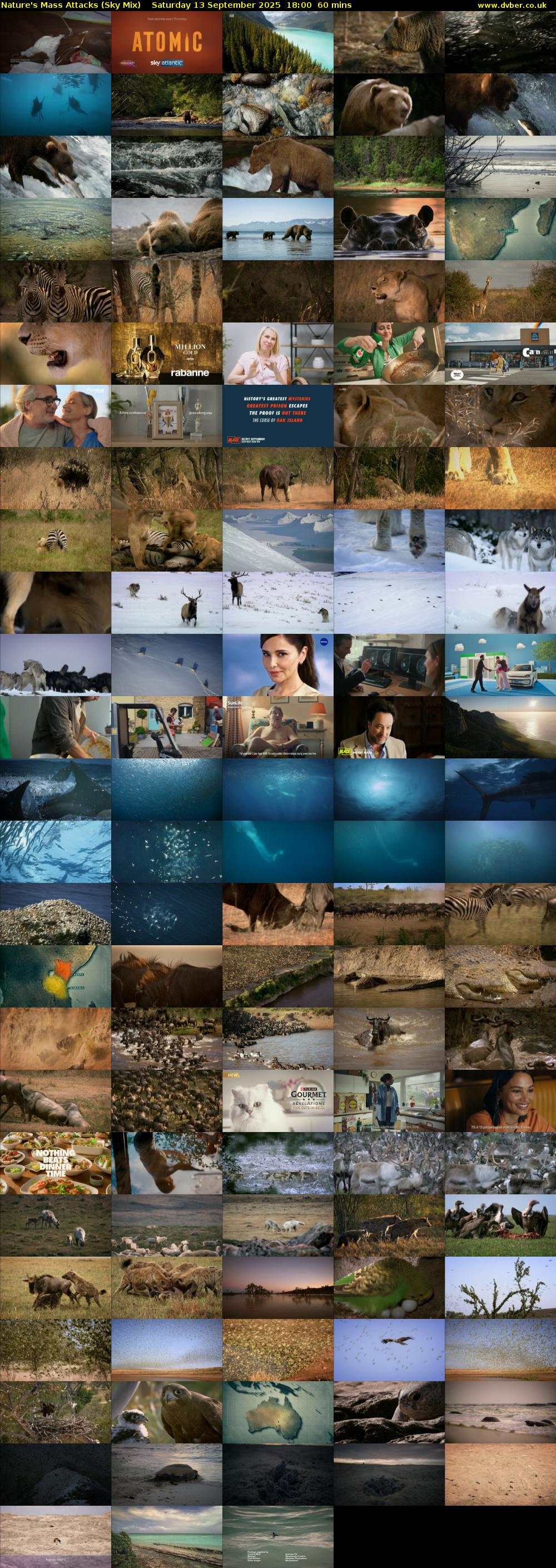 Nature's Mass Attacks (Sky Mix) Saturday 13 September 2025 18:00 - 19:00
