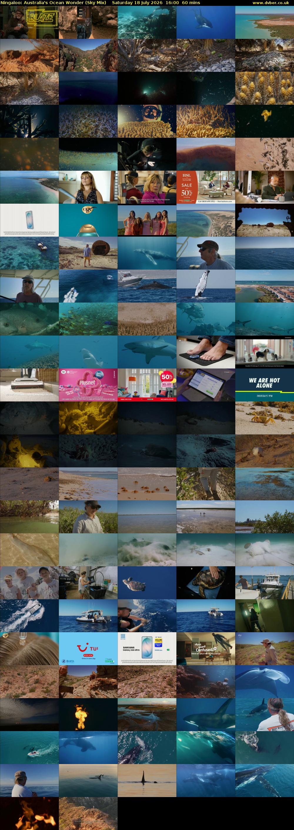 Ningaloo: Australia's Ocean Wonder (Sky Mix) Saturday 18 July 2026 16:00 - 17:00