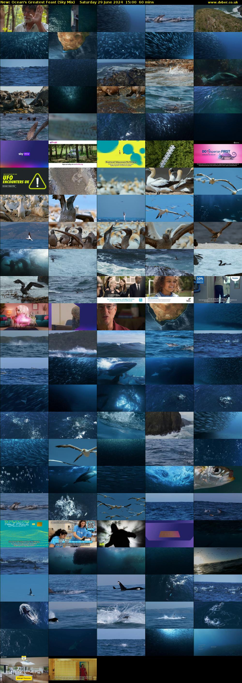 Ocean's Greatest Feast (Sky Mix) Saturday 29 June 2024 15:00 - 16:00