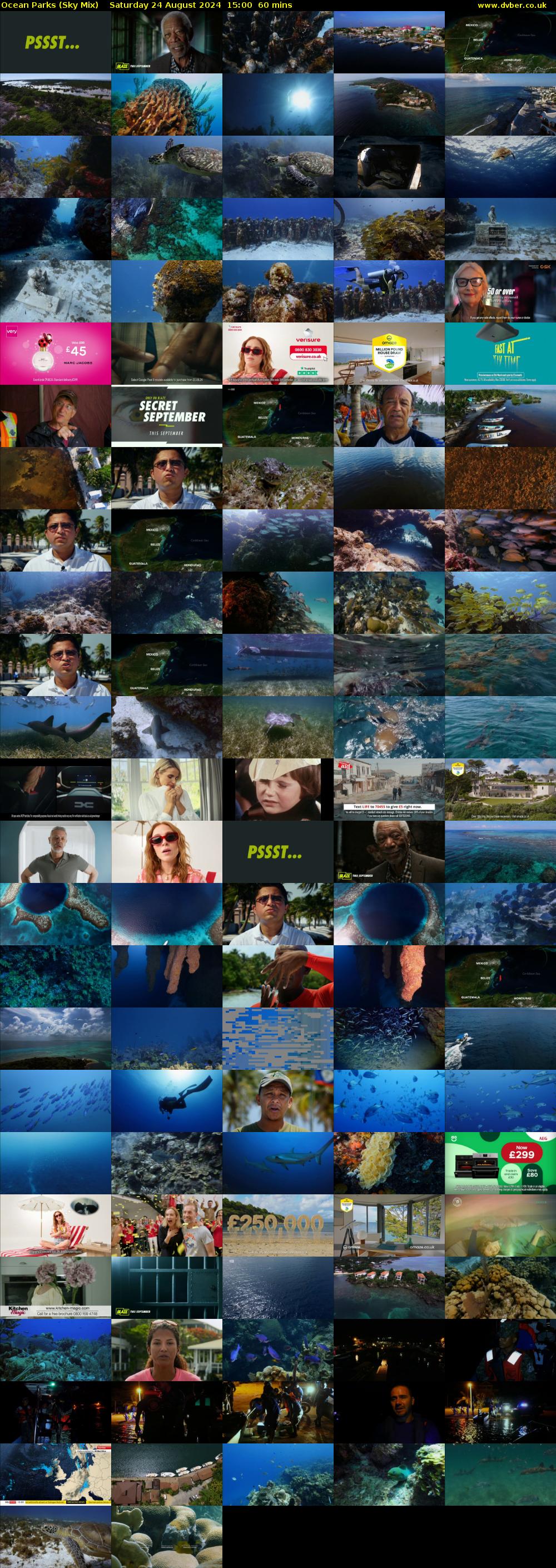 Ocean Parks (Sky Mix) Saturday 24 August 2024 15:00 - 16:00