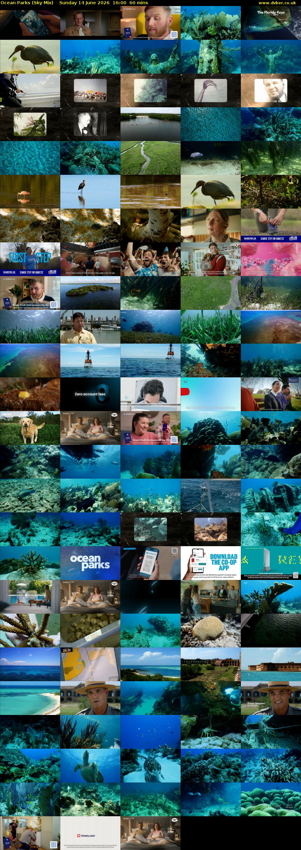 Ocean Parks (Sky Mix) Sunday 14 June 2026 16:00 - 17:00
