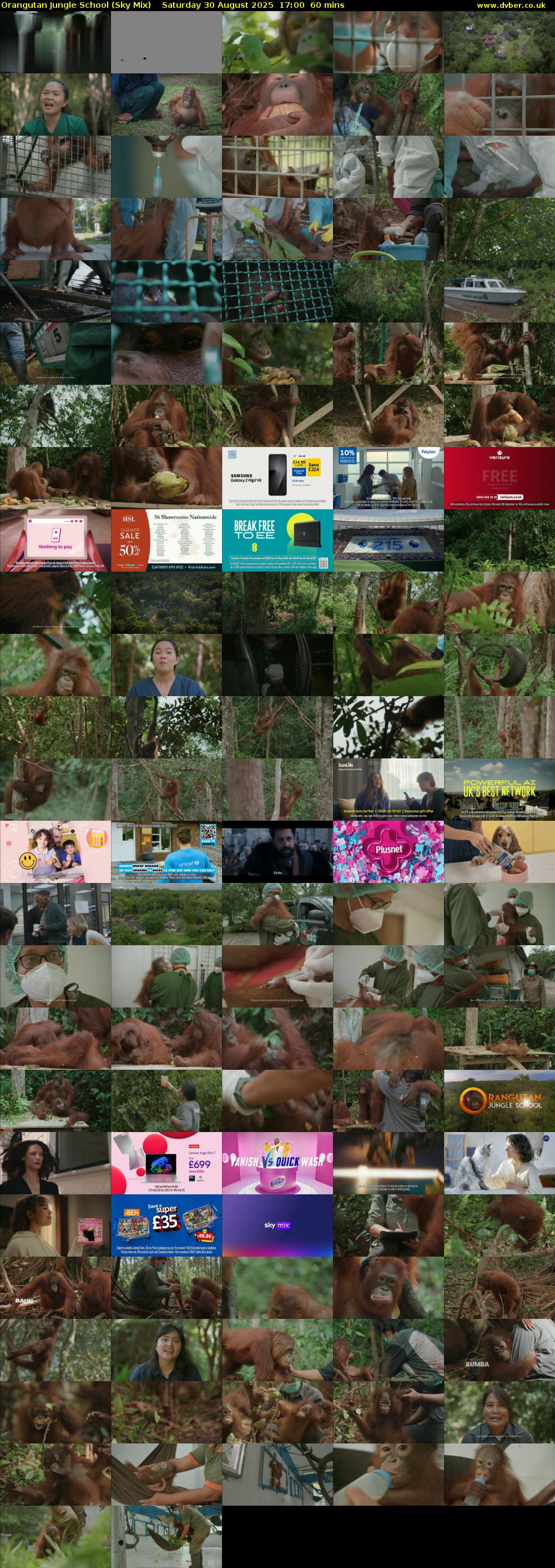 Orangutan Jungle School (Sky Mix) Saturday 30 August 2025 17:00 - 18:00