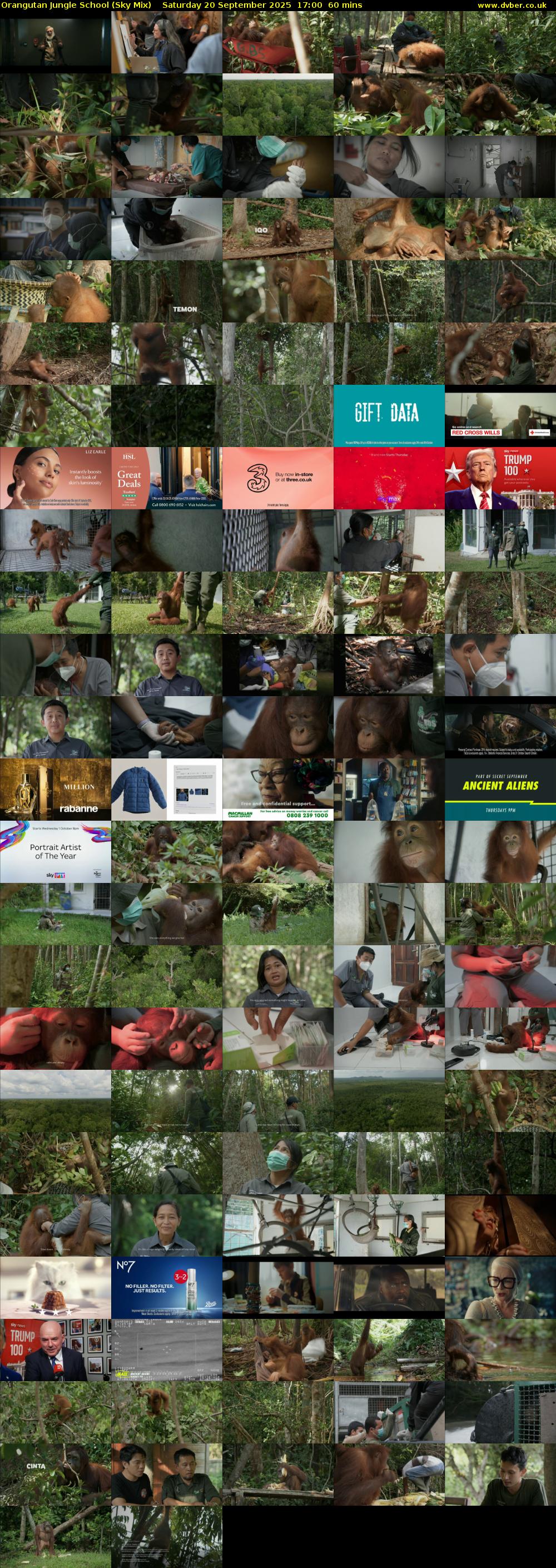Orangutan Jungle School (Sky Mix) Saturday 20 September 2025 17:00 - 18:00