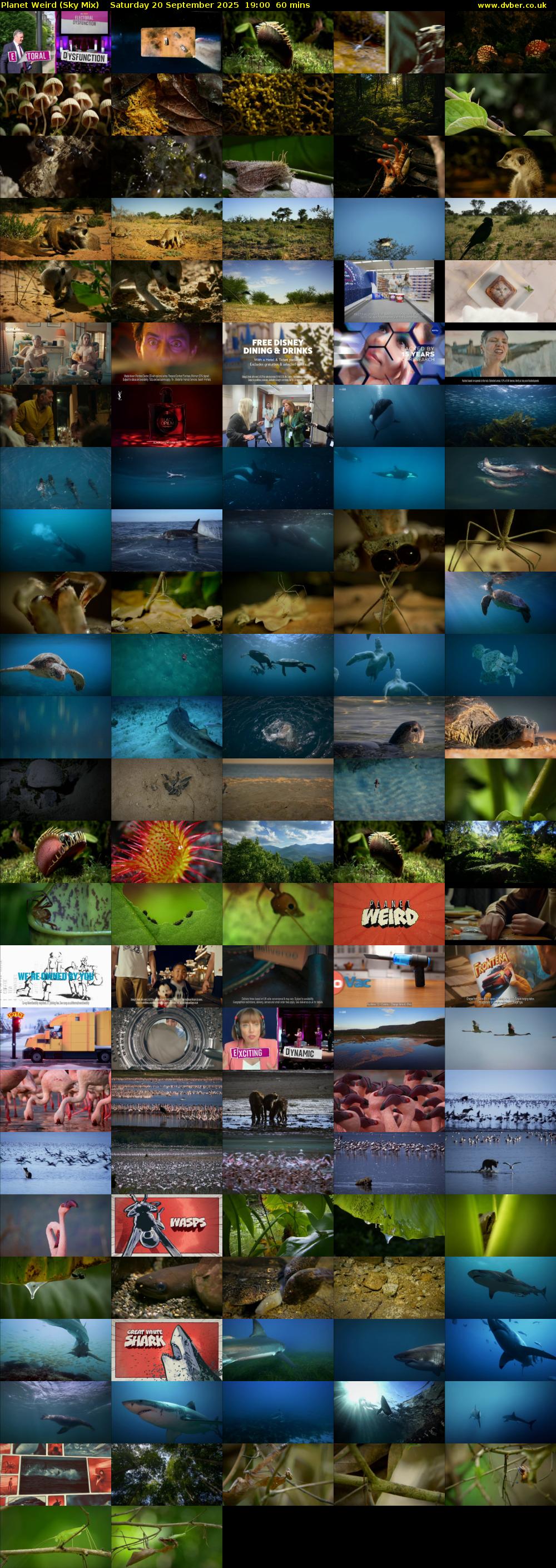 Planet Weird (Sky Mix) Saturday 20 September 2025 19:00 - 20:00
