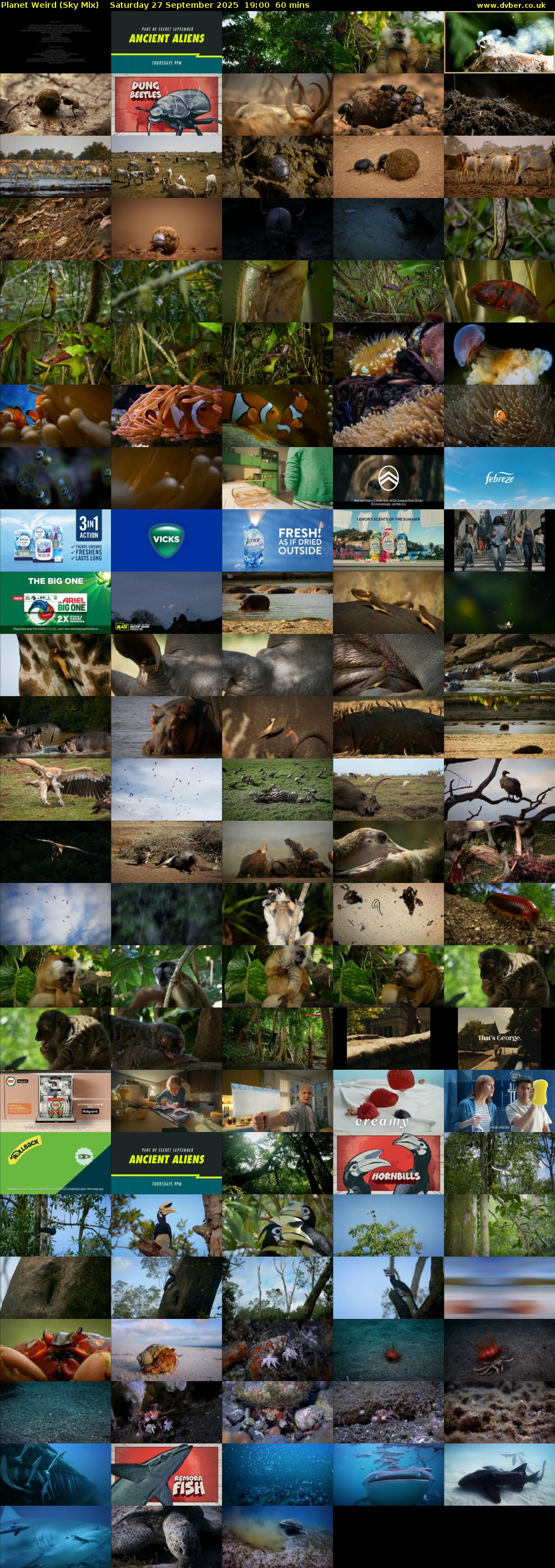 Planet Weird (Sky Mix) Saturday 27 September 2025 19:00 - 20:00