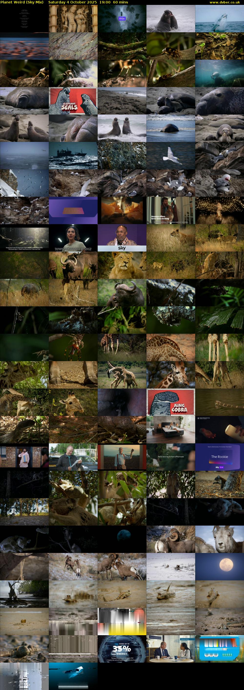 Planet Weird (Sky Mix) Saturday 4 October 2025 19:00 - 20:00