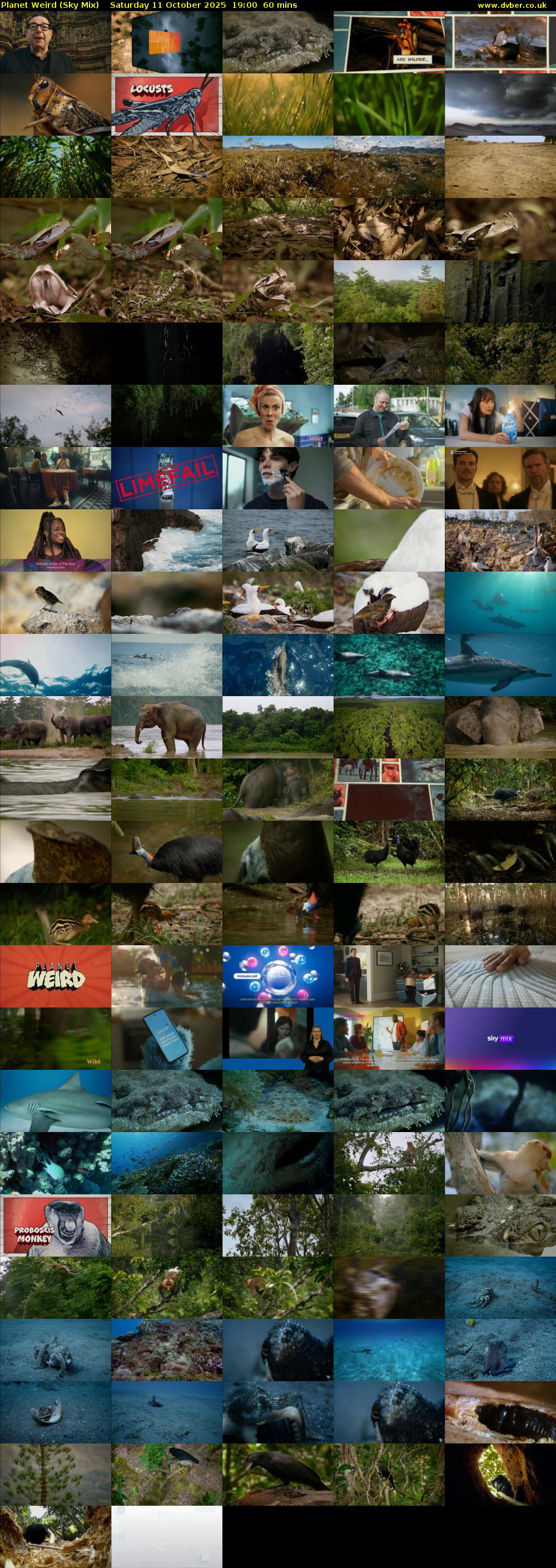 Planet Weird (Sky Mix) Saturday 11 October 2025 19:00 - 20:00