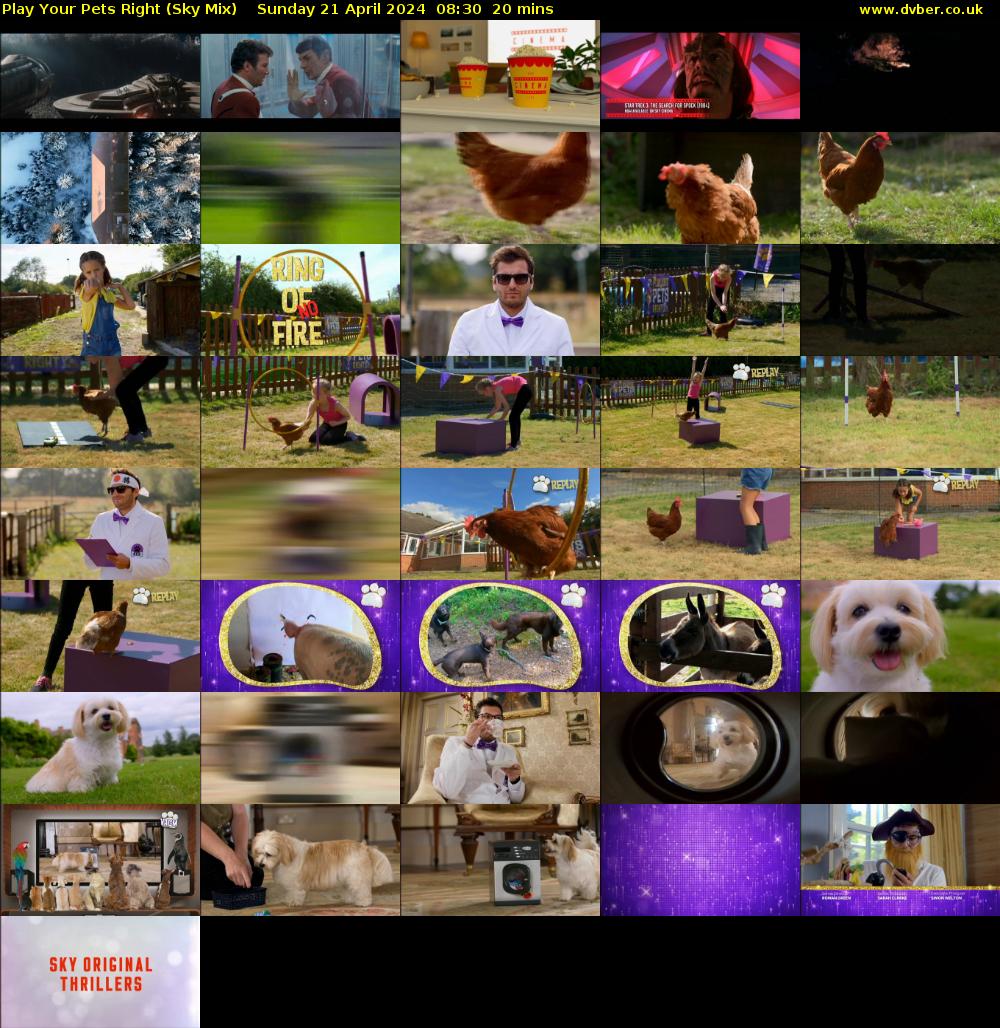 Play Your Pets Right (Sky Mix) Sunday 21 April 2024 08:30 - 08:50