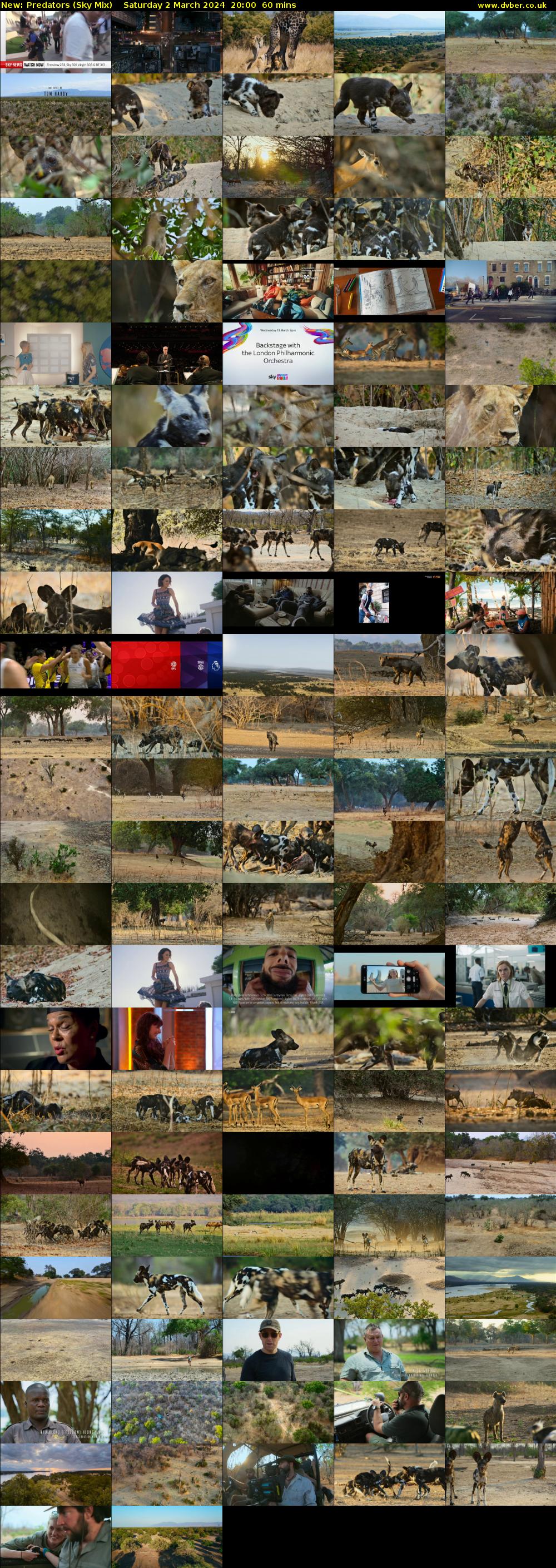 Predators (Sky Mix) Saturday 2 March 2024 20:00 - 21:00