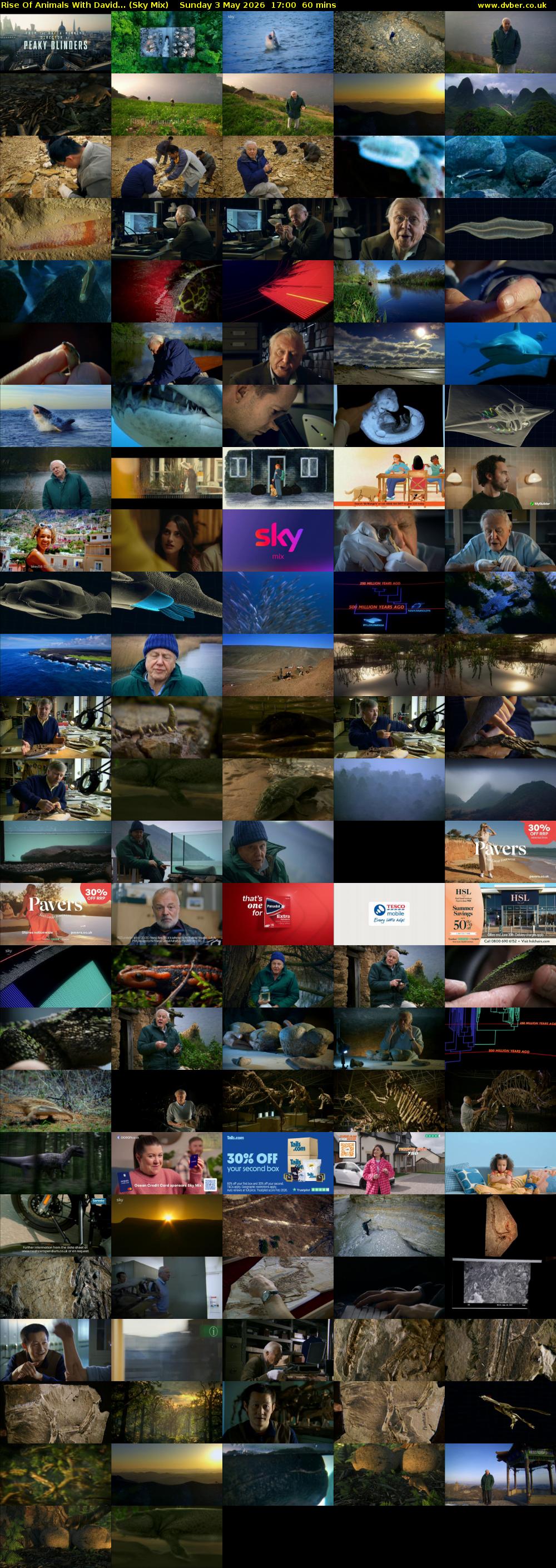 Rise Of Animals With David... (Sky Mix) Sunday 3 May 2026 17:00 - 18:00