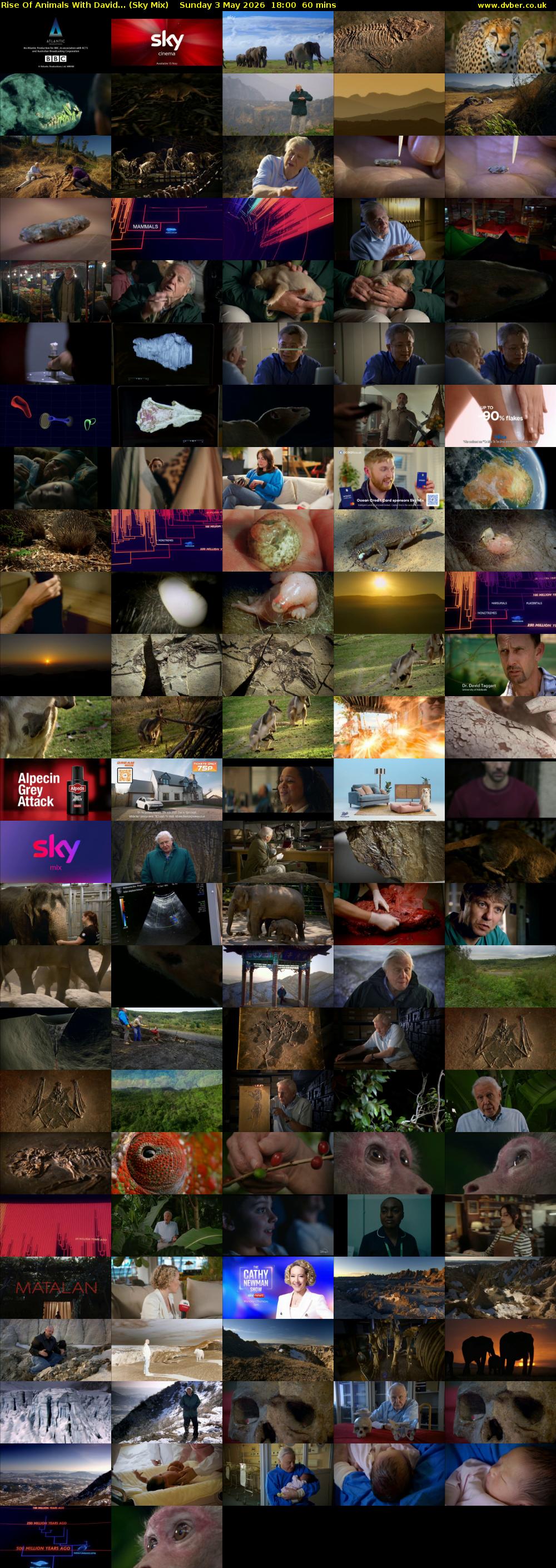 Rise Of Animals With David... (Sky Mix) Sunday 3 May 2026 18:00 - 19:00