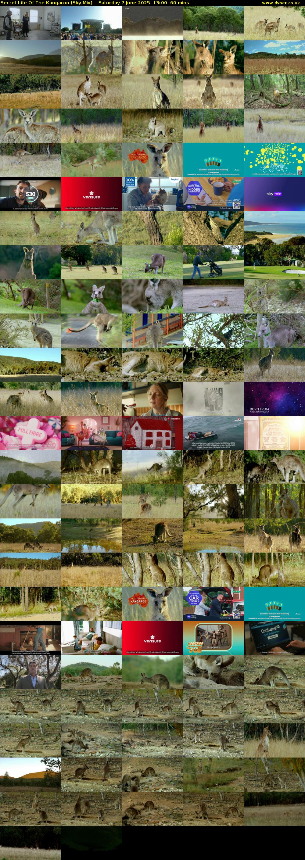 Secret Life Of The Kangaroo (Sky Mix) Saturday 7 June 2025 13:00 - 14:00
