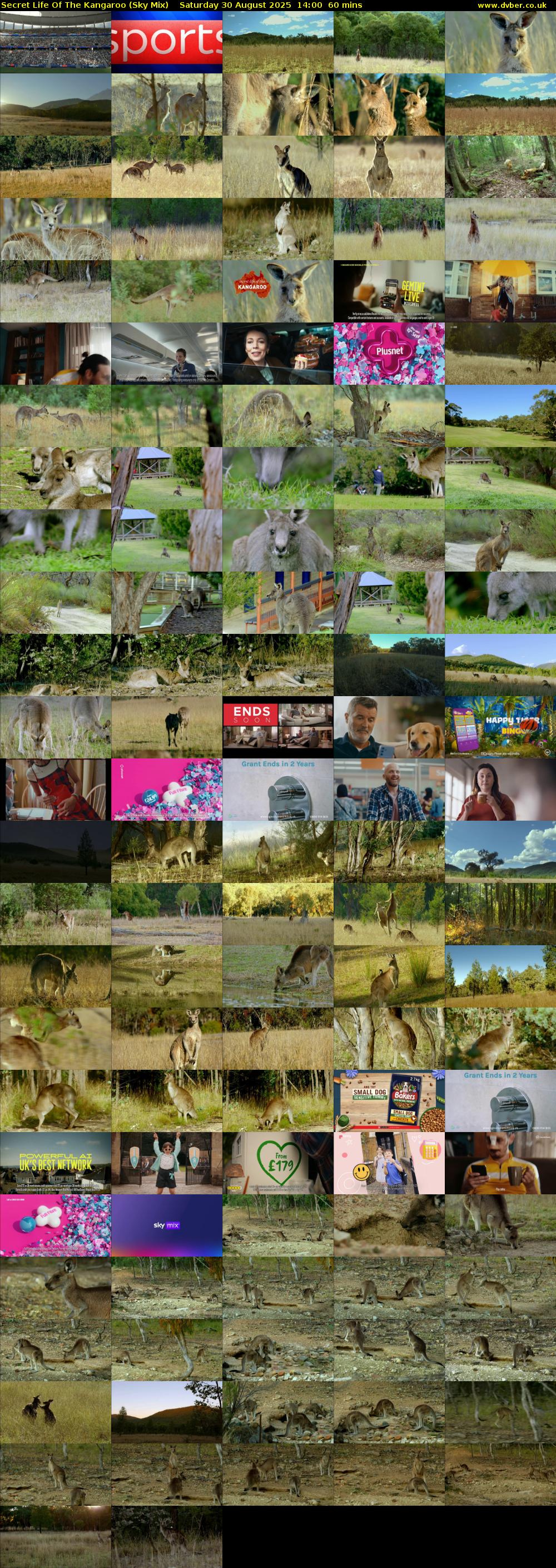 Secret Life Of The Kangaroo (Sky Mix) Saturday 30 August 2025 14:00 - 15:00