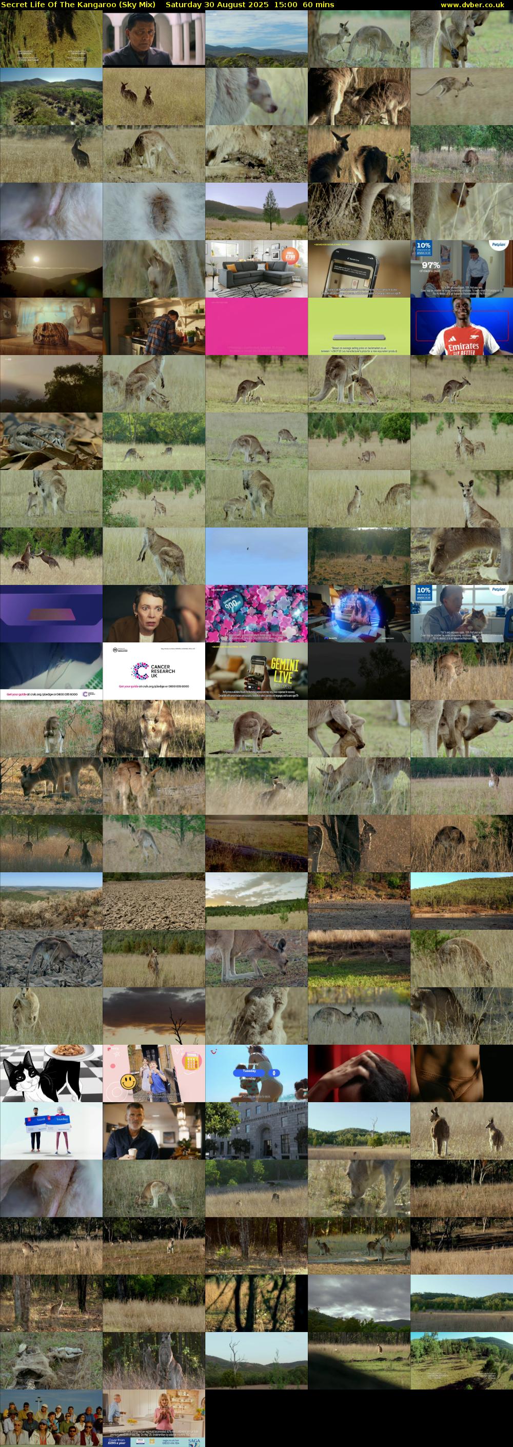Secret Life Of The Kangaroo (Sky Mix) Saturday 30 August 2025 15:00 - 16:00