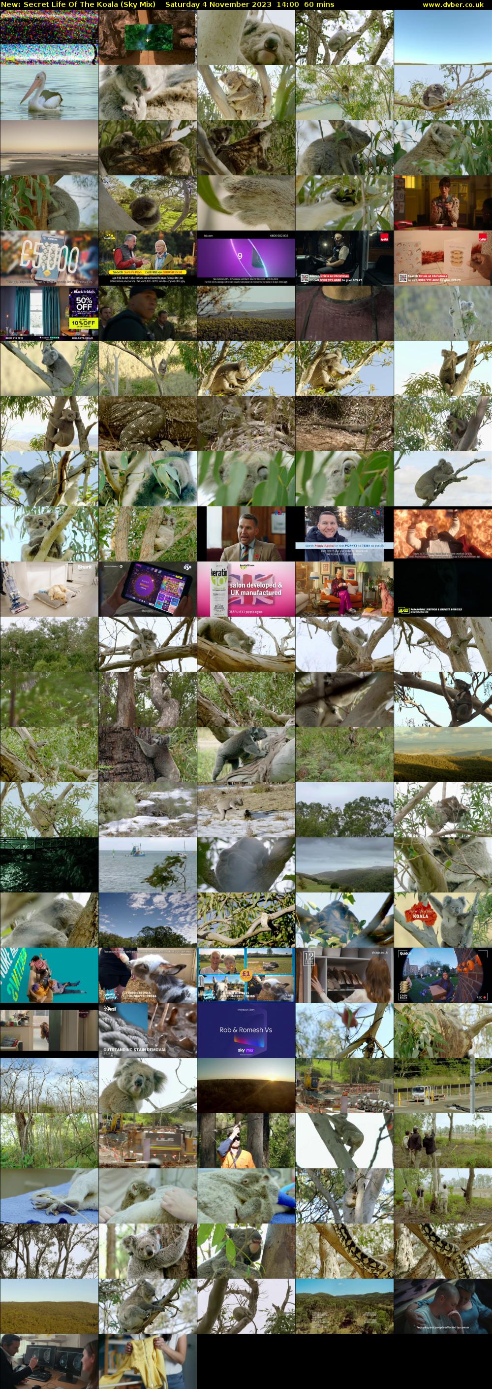 Secret Life Of The Koala (Sky Mix) Saturday 4 November 2023 14:00 - 15:00
