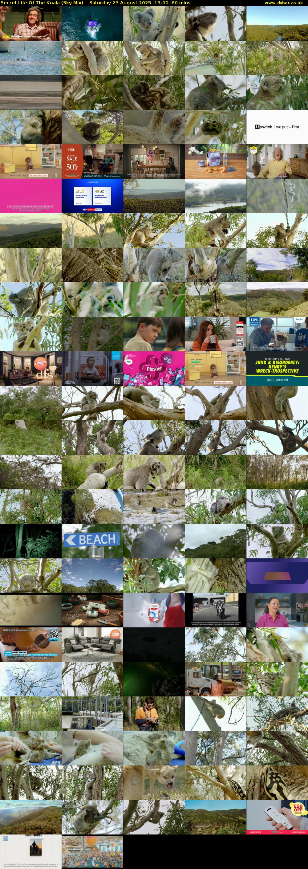 Secret Life Of The Koala (Sky Mix) Saturday 23 August 2025 15:00 - 16:00