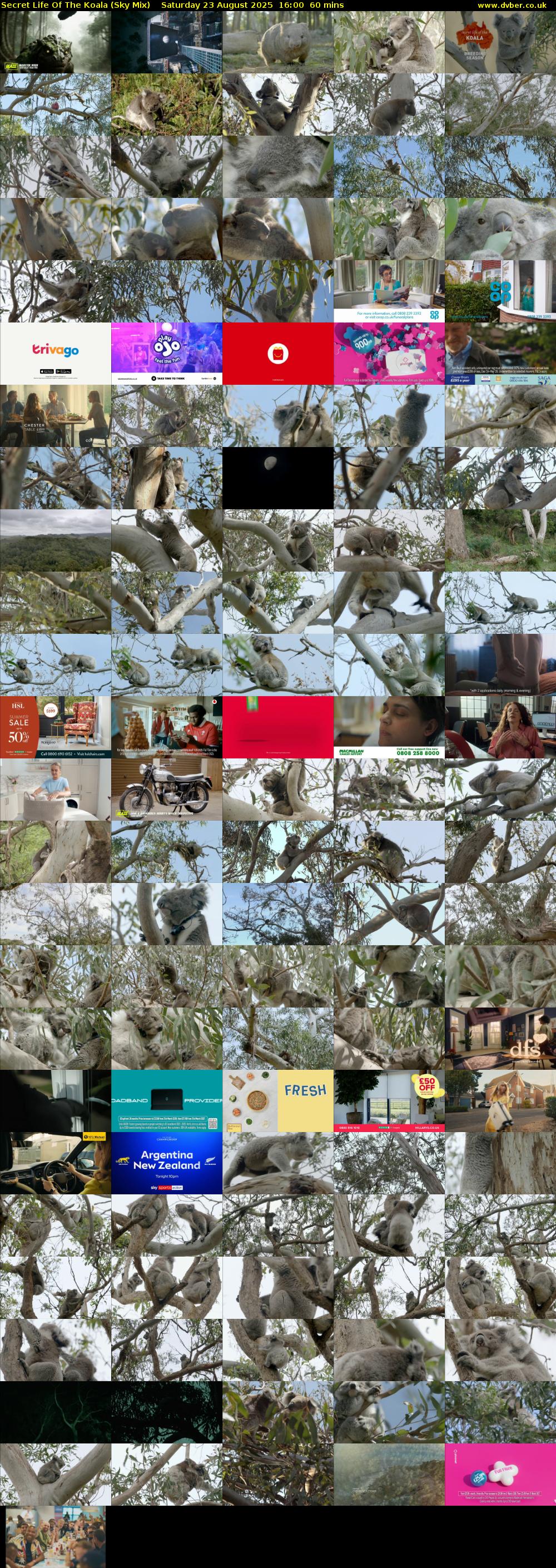 Secret Life Of The Koala (Sky Mix) Saturday 23 August 2025 16:00 - 17:00