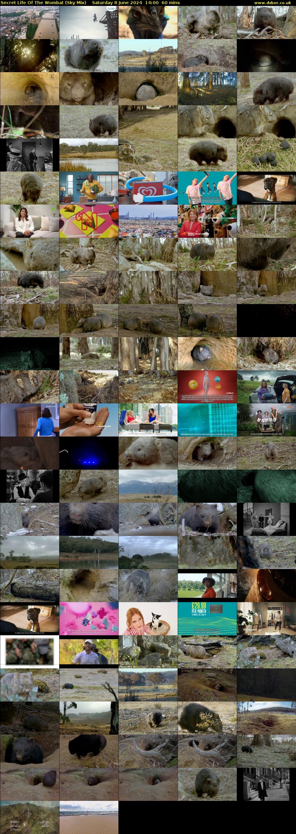 Secret Life Of The Wombat (Sky Mix) Saturday 8 June 2024 14:00 - 15:00