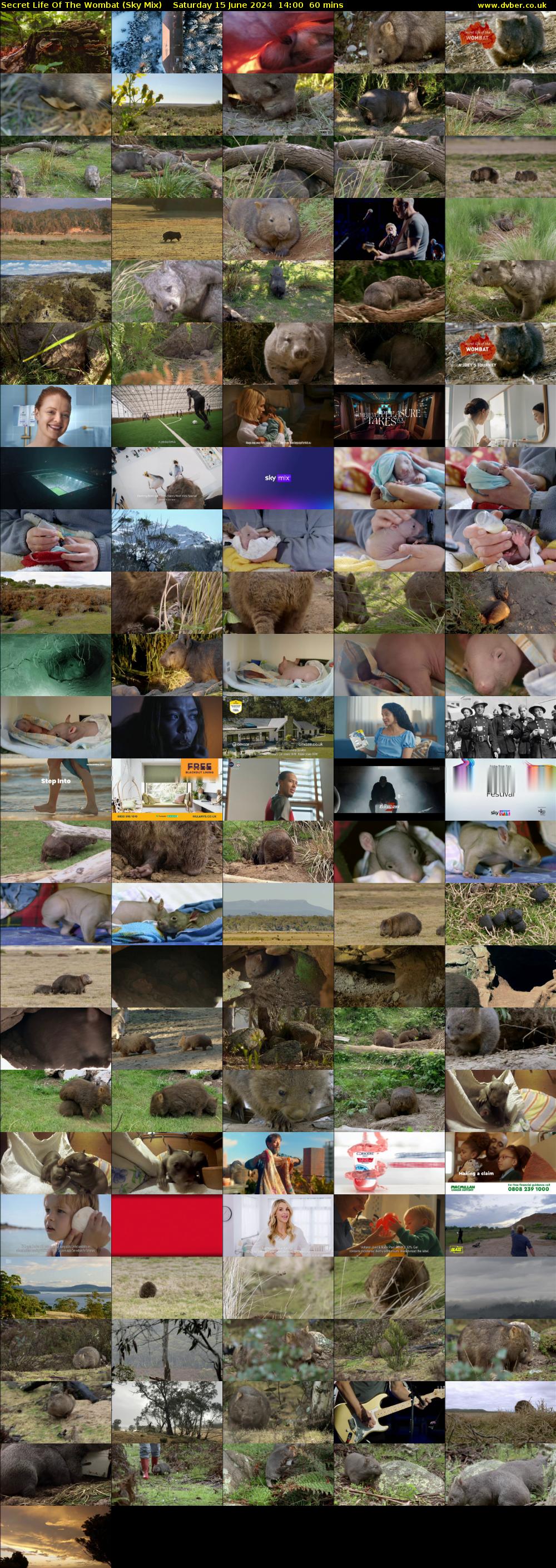 Secret Life Of The Wombat (Sky Mix) Saturday 15 June 2024 14:00 - 15:00