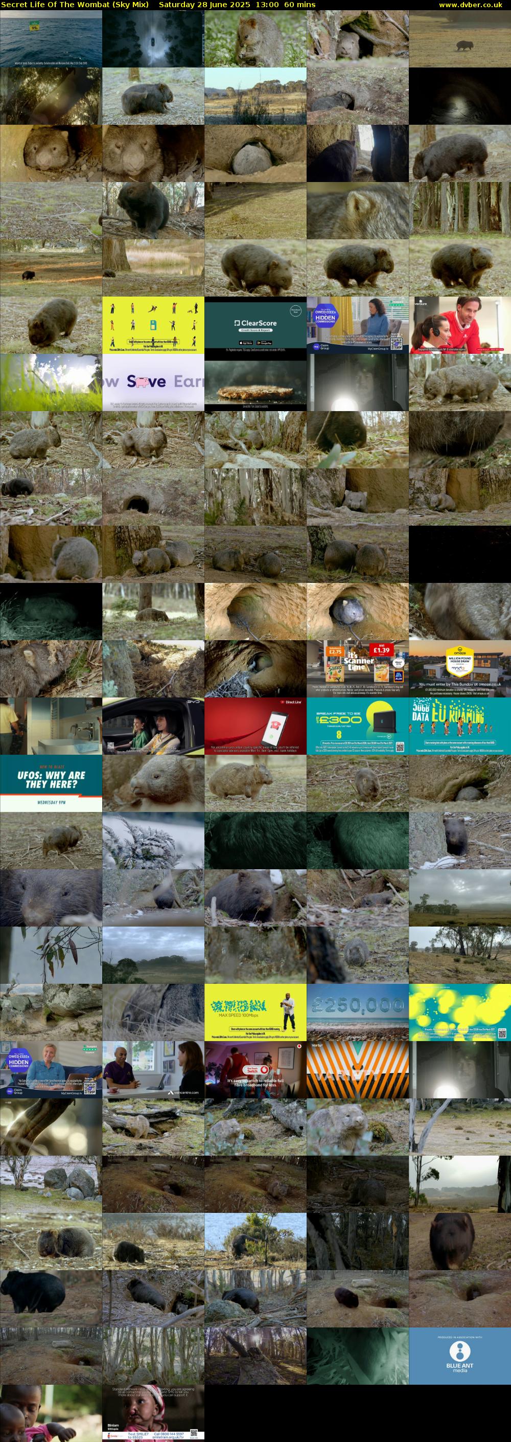 Secret Life Of The Wombat (Sky Mix) Saturday 28 June 2025 13:00 - 14:00