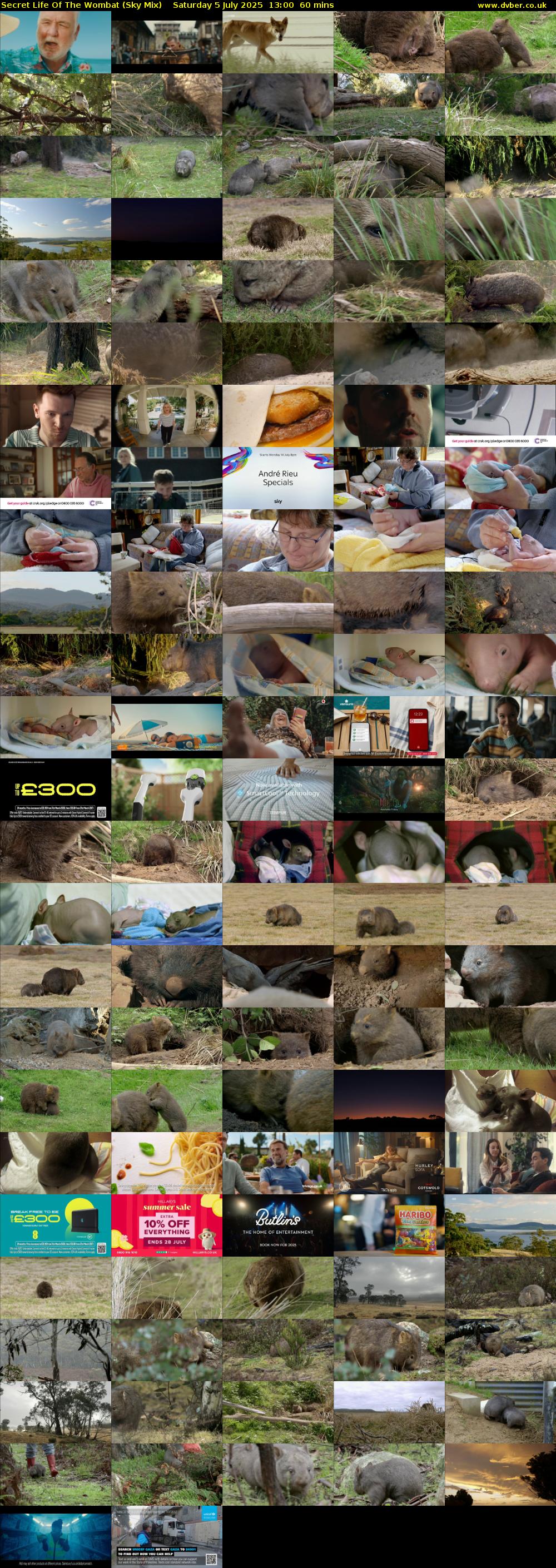 Secret Life Of The Wombat (Sky Mix) Saturday 5 July 2025 13:00 - 14:00