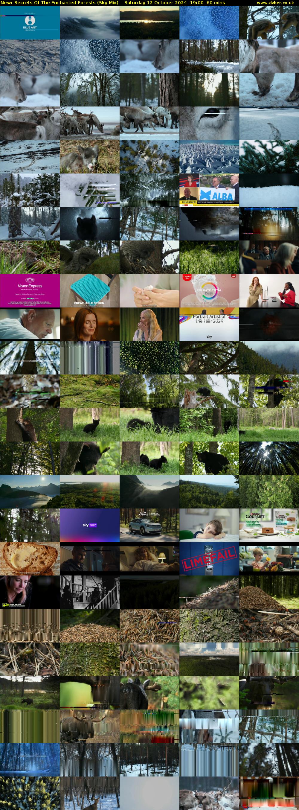 Secrets Of The Enchanted Forests (Sky Mix) Saturday 12 October 2024 19:00 - 20:00