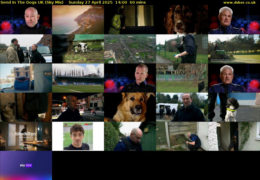 Send In The Dogs UK (Sky Mix) Sunday 27 April 2025 14:00 - 15:00