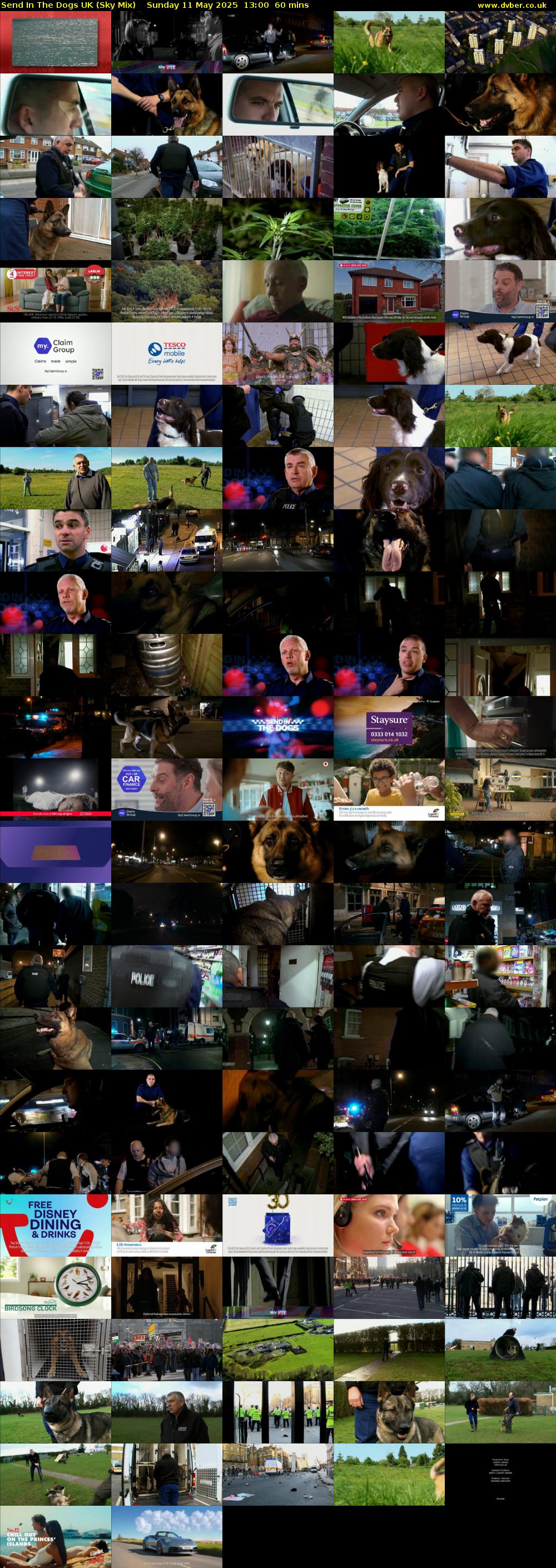 Send In The Dogs UK (Sky Mix) Sunday 11 May 2025 13:00 - 14:00