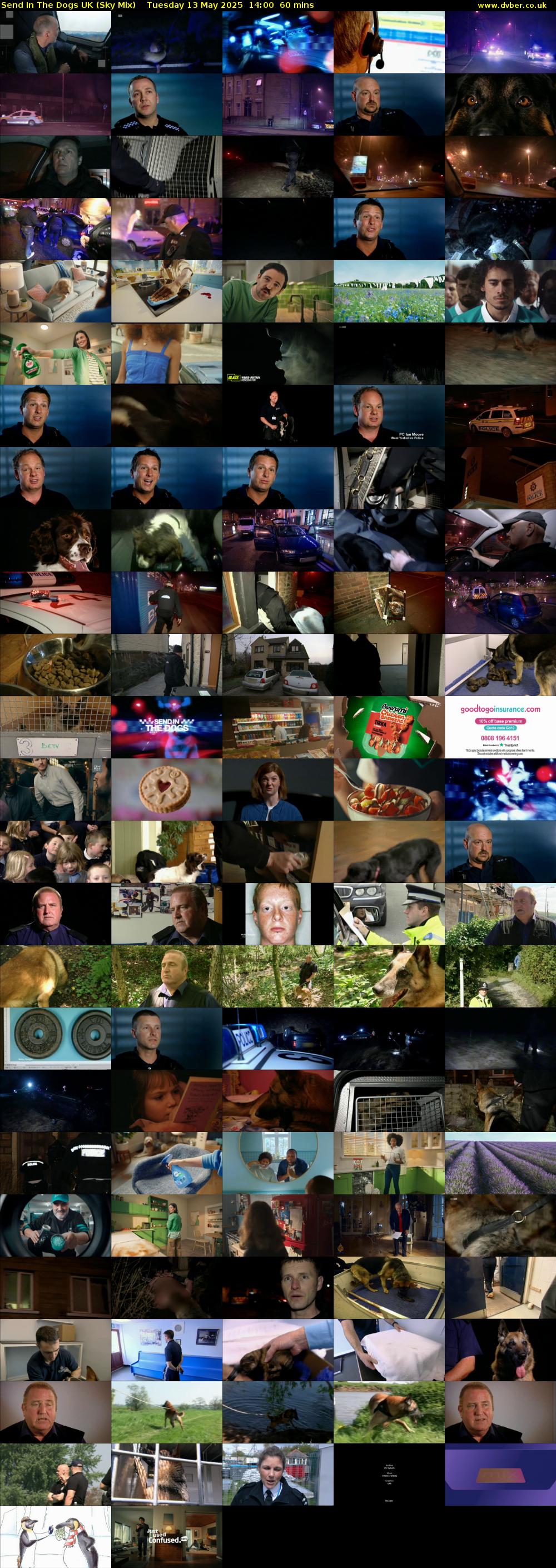 Send In The Dogs UK (Sky Mix) Tuesday 13 May 2025 14:00 - 15:00